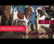 Livestock Information by Muhammad Ali