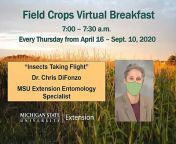 MSU Extension Field Crops Team
