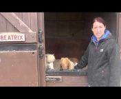 Foal Farm Animal Rescue
