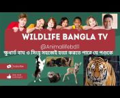 wildlife bangla tv