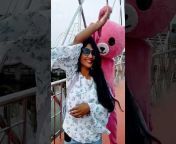 pink teddy khulna official
