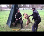 Viorel Scinteie Modern Dog Training