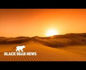 Black Bear News