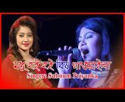 News7 Bangla Tv