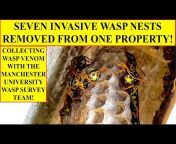 Green Wasp Removal