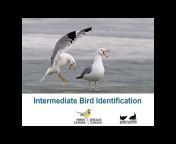 Saskatchewan Programs - Birds Canada