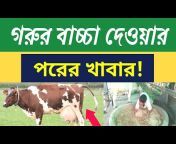 সিরাজ ডেইরি ফার্ম-Siraj Dairy Farm