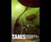 TANIS PODCAST