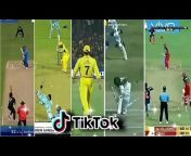 cricket tik tok video