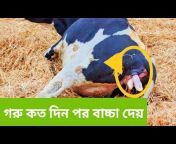 সিরাজ ডেইরি ফার্ম-Siraj Dairy Farm