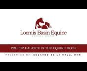 Loomis Basin Equine Medical Group