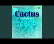 Cactus - Topic