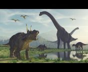 🦖Eu Amo Dinossauros