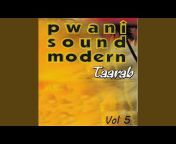 Pwani Sound Modern Taarab - Topic