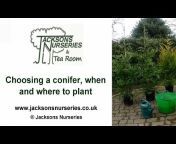 Jacksons Nurseries, Tea Room u0026 Farm Shop
