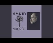 Aydin - Topic