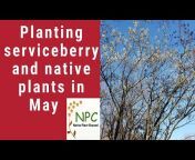 Native Plant Channel