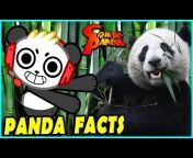Combo Panda