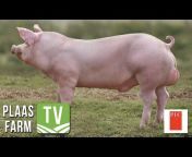 Plaas TV / Farm TV