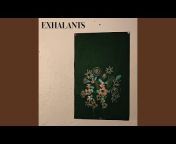 exhalants - Topic