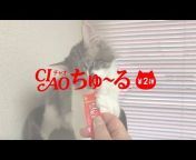 【公式】いなばペットフード猫ちゃんチャンネル