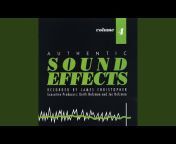 Authentic Sound Effects - Topic