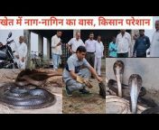 Snakeman HaryanaSatish Phaphrana