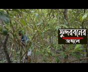 Sundarban Karcha