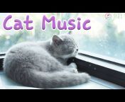 Cat Mate Music