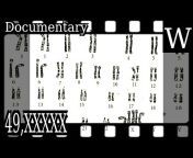 WikiVidi Documentaries