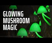 Mushroom Site
