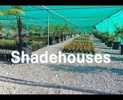 Redpath Greenhouses u0026 Dairyshelters New Zealand