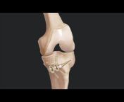 What&#39;s New in Orthopedics