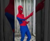 Spiderman Highlights