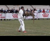 Maessen Video Dog Sports