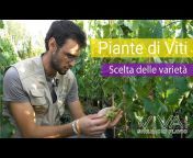 Vivai Spallacci Flavio - Live Green