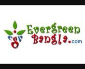 EvergreenBangla.com