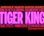Selected animations from the Netflix Original Documentary Series “TIGER KING”.nnA ROYAL GOODE PRODUCTION / A GOODE THINGS PRODUCTIONnIN ASSOCIATION WITH ARTICLE 19 FILMS / LIBRARY FILMSnEXECUTIVE PRODUCERS CHRIS SMITH / FISHER STEVENSnEXECUTIVE PRODUCERS ERIC GOODE / REBECCA CHAIKLINnDIRECTED BY REBECCA CHAIKLIN / ERIC GOODEnCO-EXECUTIVE PRODUCERS TREVOR GROTH / TRISTEN TUCKFIELDnCO-PRODUCER CASSIE SAGNESSnDIRECTOR OF VISUAL EFFECTS &amp; ANIMATION / STEFAN NADELMANnnMUSIC:nMAJOR LAZER : ORI