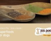 Big Dog Pet Foods, Chris Essex chats with Pooches At Play, Lara Shannon about pet nutrition and the benefits of superfoods.nn