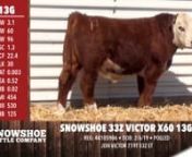 Snowshoe Cattle Co. - Lot 13G from 13g