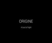 For the first time in our history, we have imagined a light that is able to evoke life.nA sweet, embracing light, that starts from the ground and reaches the sky.nAnd so we are thrilled to present you ORIGINE.nORIGINE is indirect light, for our gardens, our courtyards, our building façades, the rooms in our homes.nORIGINE is not accent, but depth, horizon, hope.nnORIGINEnA bud of light.nnVideo credit Fausto Mazza