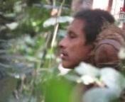 Un gruppo indigeno del Brasile ha diffuso un nuovo, straordinario filmato di alcuni degli Indiani incontattati più minacciati al mondo. nn—nnNota ai redattori: nnIl video è stato diffuso da Mídia Índia, un’associazione cinematografica indigena. È stato trasmesso dal canale televisivo brasiliano Globo il 21 luglio 2019, ed è inserito nel documentario dal titolo “Ka’a Zar Ukize Wá – Forest Keepers in Danger” – realizzato da Mídia Índia. Il documentario, di 13 minuti, è un i