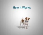 Tagg The Pet Tracker - How It Works from tagg tracker