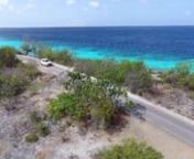 Rent a SUV and start cruising along the coastline of Bonaire