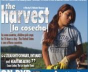The Harvest/La Cosecha tells the story of the children who feed America.nwww.theharvestfilm.comnnEvery year there are more than 400,000 American children who are torn away from their friends, schools and homes to pick the food we all eat.Zulema, Perla and Victor labor as migrant farm workers, sacrificing their own childhoods to help their families survive.THE HARVEST/LA COSECHA profiles these three as they journey from the scorching heat of Texas’ onion fields to the winter snows of the Mi