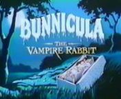 Bunnicula The Vampire Rabbit (1982 Cartoon) from cartoon 1982