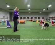 In this video Kayl shows you how to teach your dog to walk backwards on command. For more dog training tips and tricks visit: http://mccanndogs.com/category/trick-tuesday/