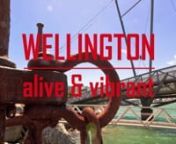 This 4 minute time lapse proves that Wellington, New Zealand is a vibrant city.Shot over 6 months, with over 17,000 images (many not used), the clip has over 30 scenes capturing the essence of how the latest Lonely Planet Guide rated Wellington. It also shows how great the past summer has been and what Wellingtonians love about their city.nnGear used involves the Stage Zero slider by Dynamic Perception with MX2 controller, Nikon D700, Sony NEX-7 and a &#36;10 wind-up kitchen timer adapted for the