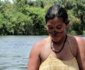 Facing a proposal by the Brazilian government to build a large dam complex on the Tapajós River that would submerge their vast territories, which span one million hectares of primary rainforest, the Munduruku of the Brazilian Amazon formed a resistance movement called Ipereg Ayu. Ipereg Ayu, in local language, means “I am strong, I know how to protect myself”.Designed to safeguard the Amazon rainforest and protect the rights of the Munduruku people, the movement has helped to demarcate tr