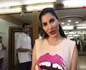 Sophie Choudry | Dance With A Fan | Celeb Of The Day from bollywood video song latest download photo
